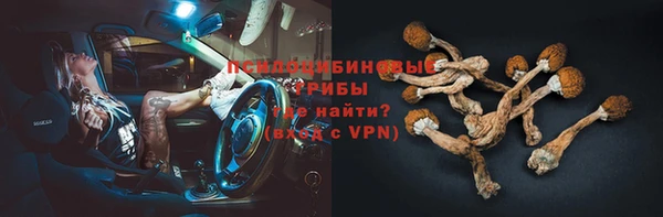 кокс Алзамай