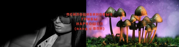 стафф Абинск