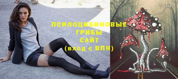 стафф Абинск