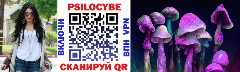 магазин Устюжна Псилоцибиновые грибы MAGIC MUSHROOMS